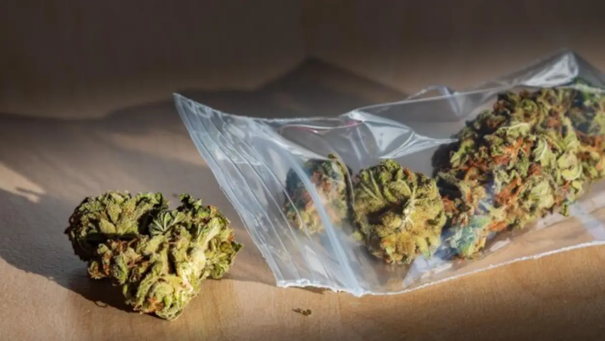 Cannabis User-Friendly Packaging