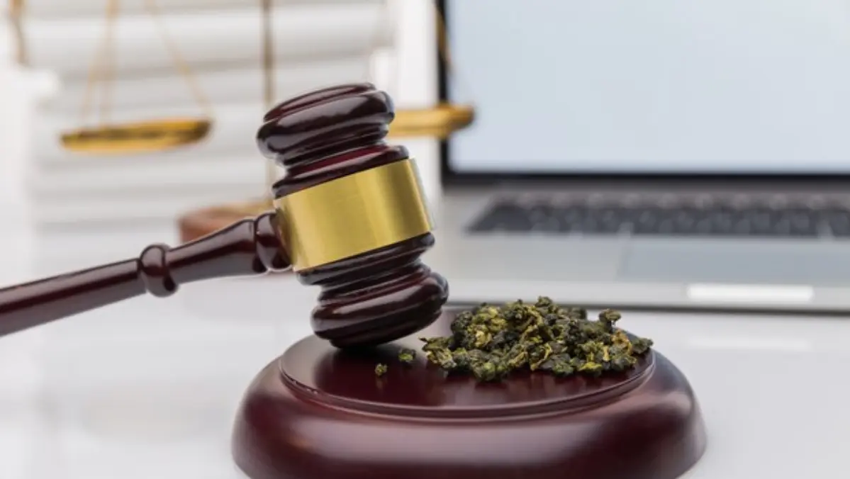Laws That Control Cannabis Product Safety