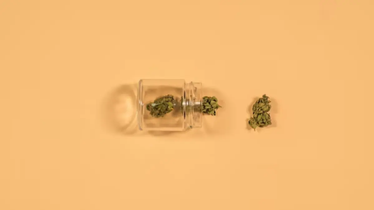 Preserving Cannabis Freshness