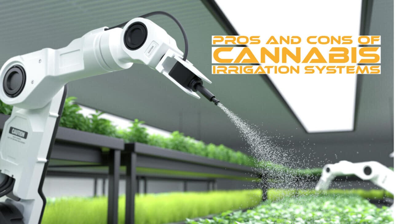 Cannabis Irrigation Systems
