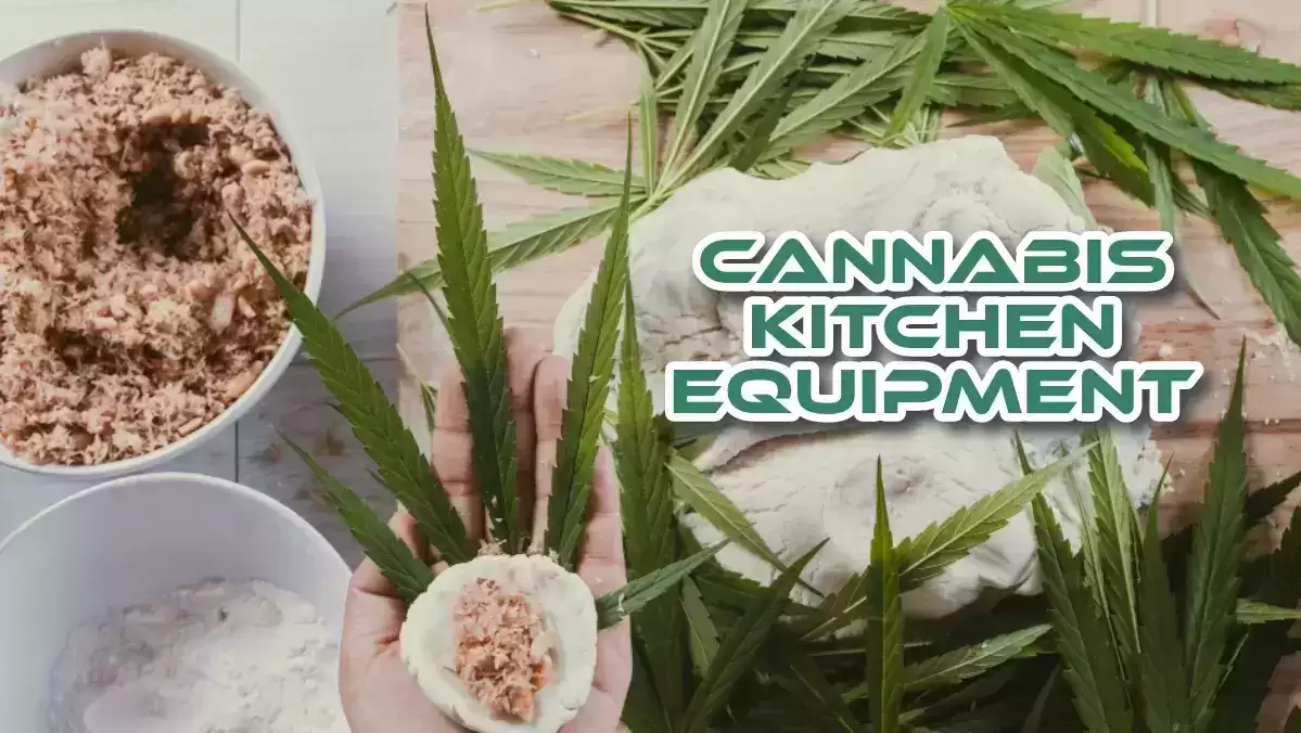 cannabis Kitchen Equipment