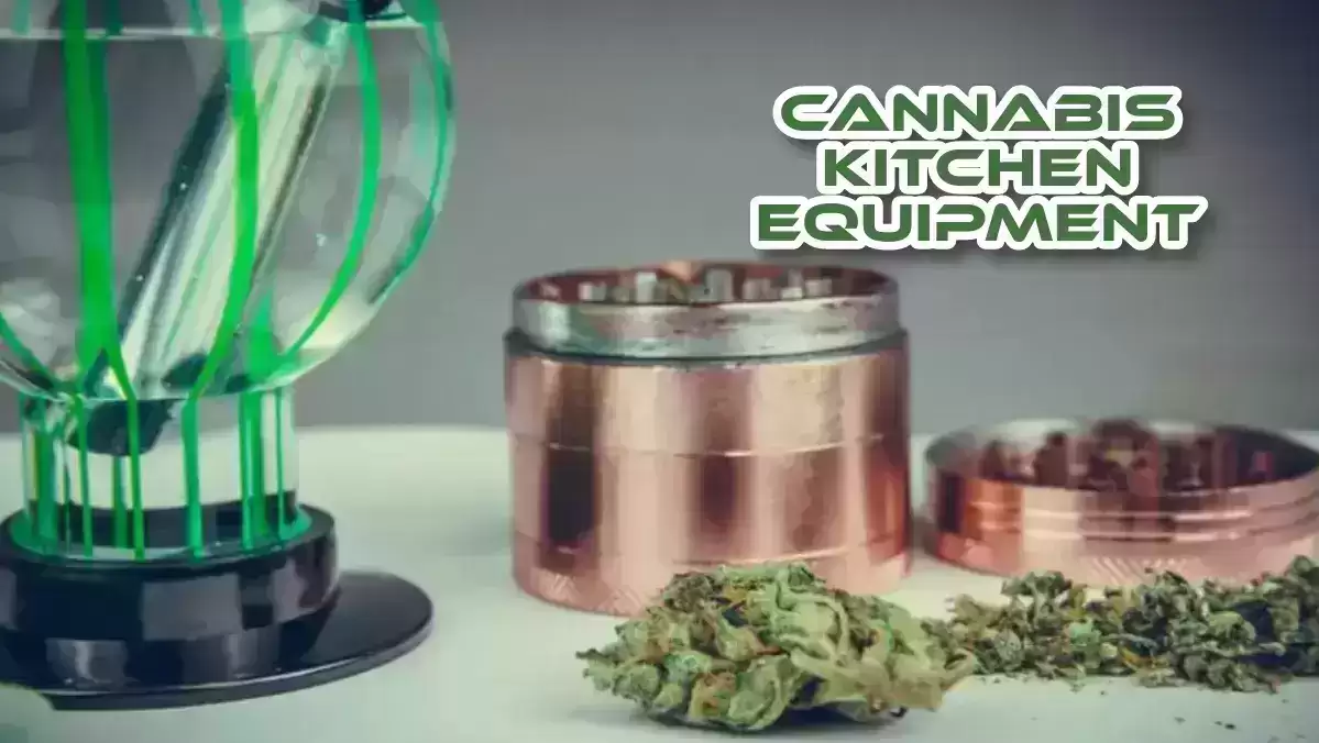 Cannabis Kitchen Equipment