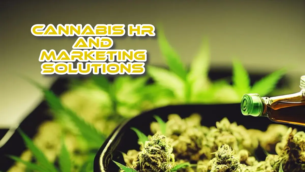 Cannabis HR and Marketing Solutions