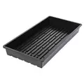 Super Sprouter Quad Thick 10 x 20 Tray - No Hole (25/Cs)