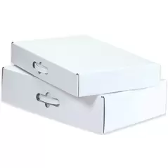Corrugated Carrying Cases - The Boxery