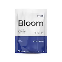 Bloom - Athena