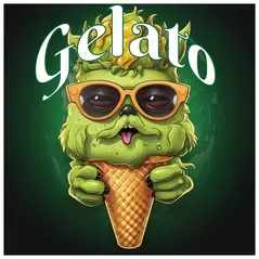 Gelato - Tasty Terp Seeds