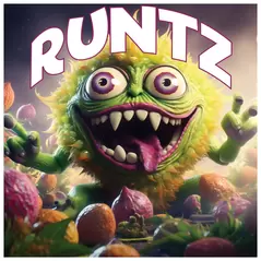 Runtz - Tasty Terp Seeds