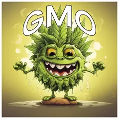 GMO - Tasty Terp Seeds