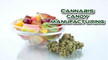 Cannabis-Infused Candy Manufacturing