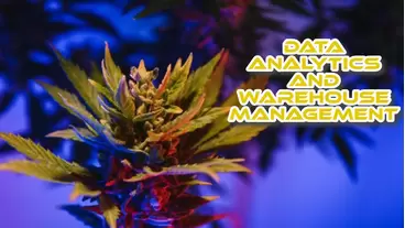 Cannabis Data Analytics and Warehouse Management