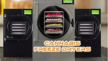 Cannabis Freeze Dryers
