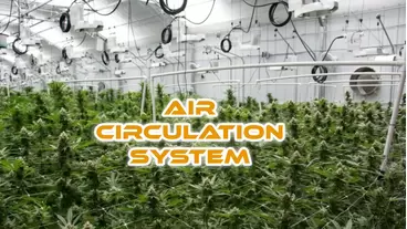 air circulation system