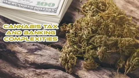 Cannabis Tax and Banking Complexities