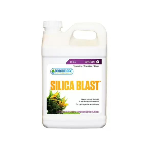SILICA BLAST 2.5GAL