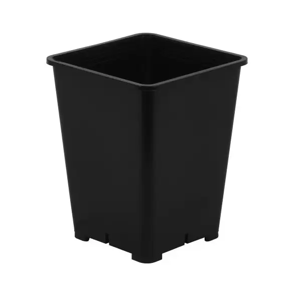 Gro Pro Premium Black Square Pot 6 in x 6 in x 8 in (100/Cs)