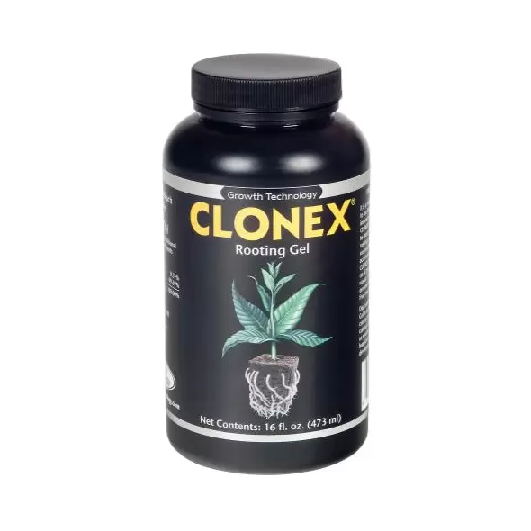 HydroDynamics Clonex Gel Pint (6/Cs)